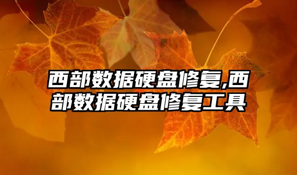西部数据硬盘修复,西部数据硬盘修复工具